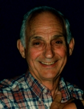 Dominic M. Venturi