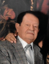 Manuel Meneses Borbolla
