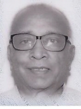 Shashi V. Patel