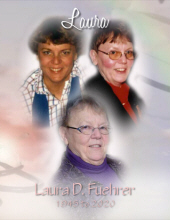 Laura D. Fuehrer 12456267