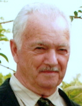 Henry Horner Paducah, Kentucky Obituary