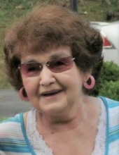 Connie S. Cosner 12500931