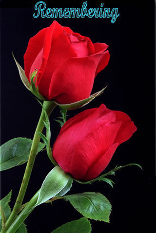 Alvin Robert Stewart Obituary Newton Iowa Pence Reese Funeral Home And Cremation Services Tribute Archive