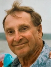 Robert D. Meichsner
