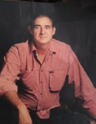 Lewis E. Henderson Milton, Florida Obituary