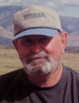 "Bob"  Robert E. Lynch Salmon, Idaho Obituary