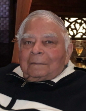 Prem Narayan Mohlajee