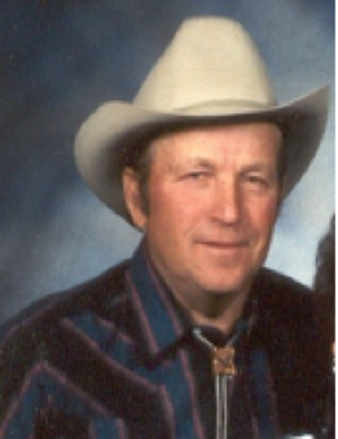 William Virgil Beard Driggs, Idaho Obituary