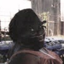 Elisa Ann Wilson - 2013 - Walker Funeral Home