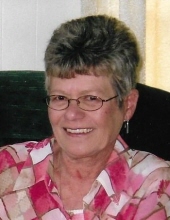 Patricia Ann Duletsky