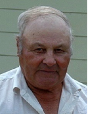 John Badiuk Vita, Manitoba Obituary
