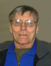 Robert L.  Stevens