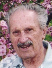 Vernon A. Holzmann