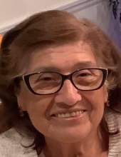Bertha Prado Arestegui