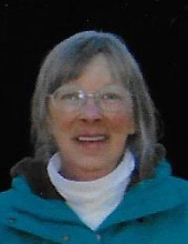 Laurie  J. McInnis