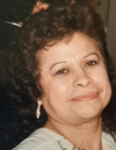 Carmen Maria Irizarry