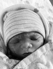 Baby Alianna Rosalynn Colton 14807342