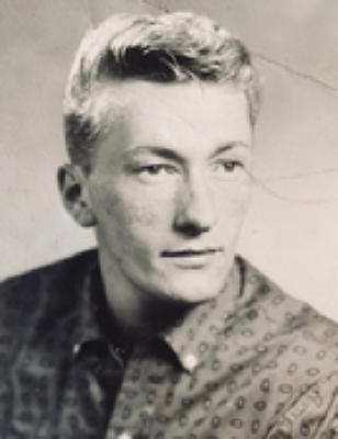 Stedman D. Beebe