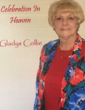 Gladys Marie Collie 15058668