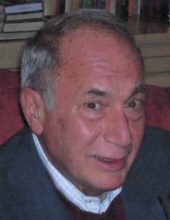 Peter C. D'Antonio