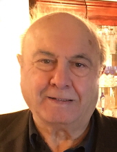 Michael D'Amato