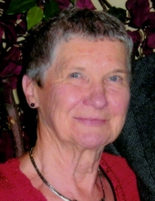 Virginia Ann Olson