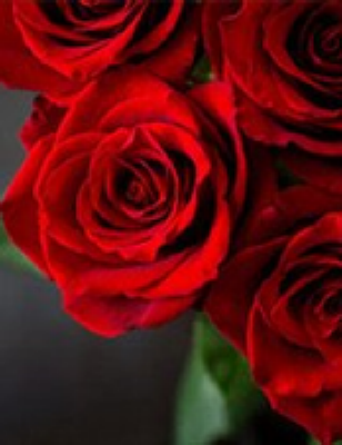 henry funeral home audubon nj
