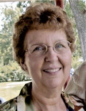 Vicki Lynn Ferguson