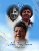 Jane Ann Johnson 17985379