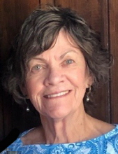 Susan S. Netznik