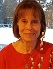 Sharon VanNoy Berger