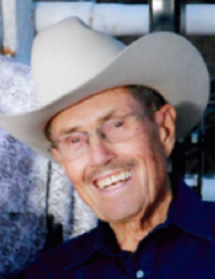 Arvin Palmer Taylor, Arizona Obituary