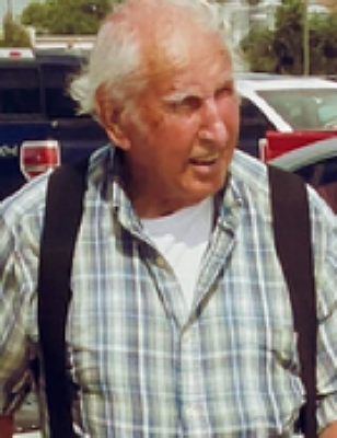 walter J. Schultz