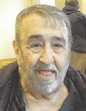 Stephen C. Sheperd