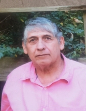 Andres Vega Sanchez