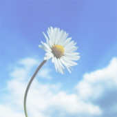 MARGUERITE B RIIFF 18326218