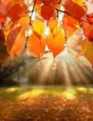 Livingston Funeral Home - Kathy Diane Savage