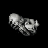 Baby Boy Ferrell 18404259