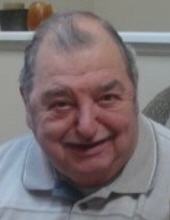 Peter G.  D'Agostino Sr.
