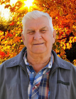 Elwyn Klettke