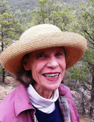 Melanie Ann Hornstein Obituary
