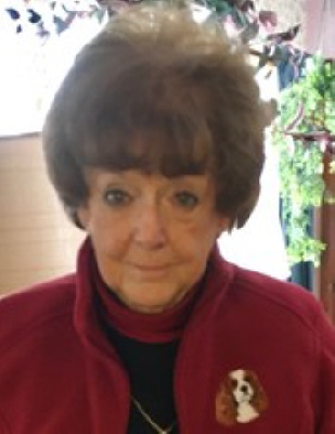 Virginia Anne Shafer