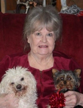 Sandra S. Wiltfang Aberdeen, South Dakota Obituary