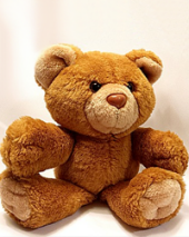 Barrett Ray Baby Bear Sedam 18674321