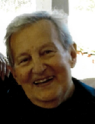 Anthony L. "Tony" DiGiacomo Boardman, Ohio Obituary