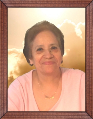 magda maldonado