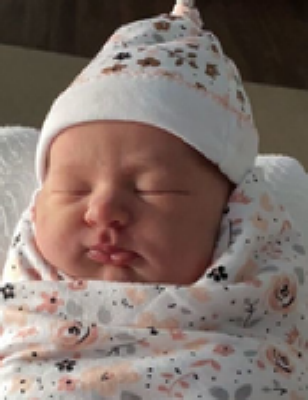 Presley Roselynn Leann Cannan