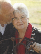 Carol N. Higgins