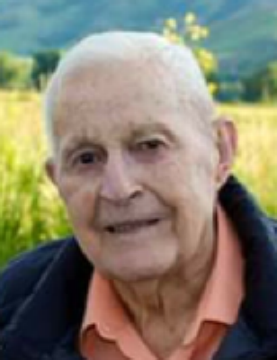 Ivan Carter Morgan, Utah Obituary