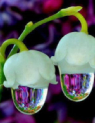 Mildren Carol BAGLEY